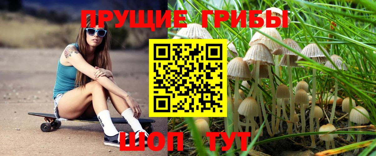 Алексин  Псилоцибиновые грибы Psilocybe  Вход с VPN 